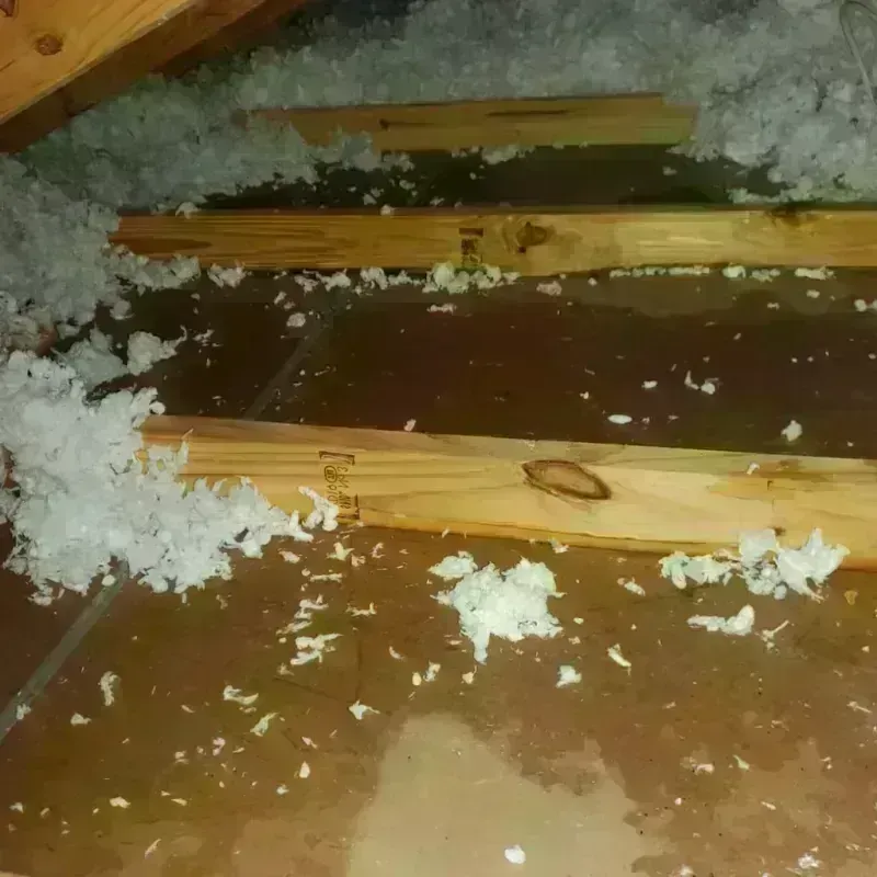 Attic Water Damage in Fresno County, CA