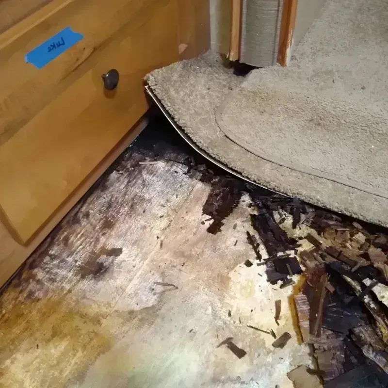 Wood Floor Water Damage in Fresno County, CA